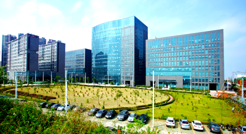园林绿化工程与景观设计施工全流程技术要点解析